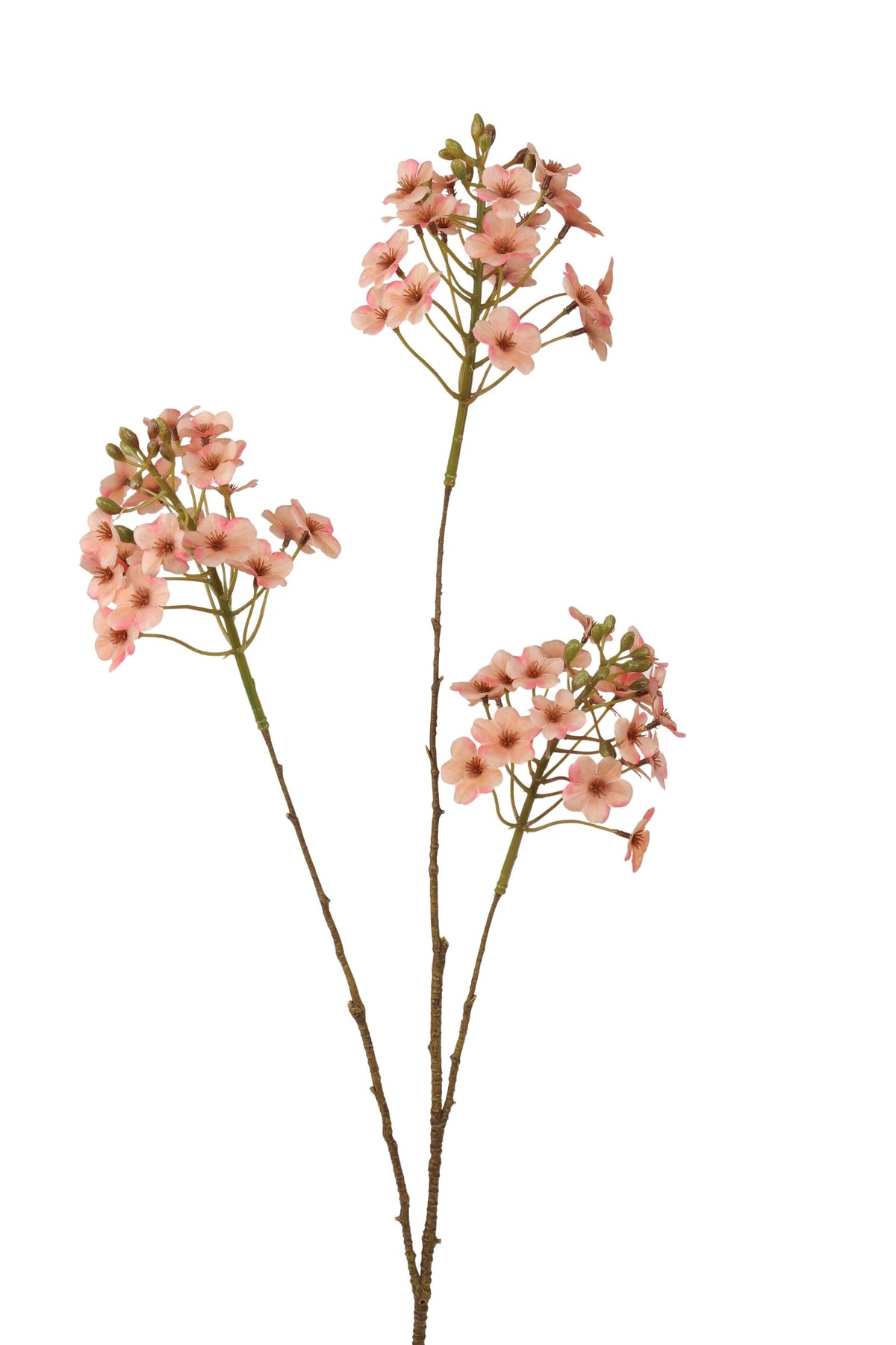 prunes x 3 80 cm roze