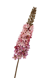 eremurus spray 90 cm roze