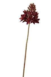 ornitigalum spray 72 cm bordeaux
