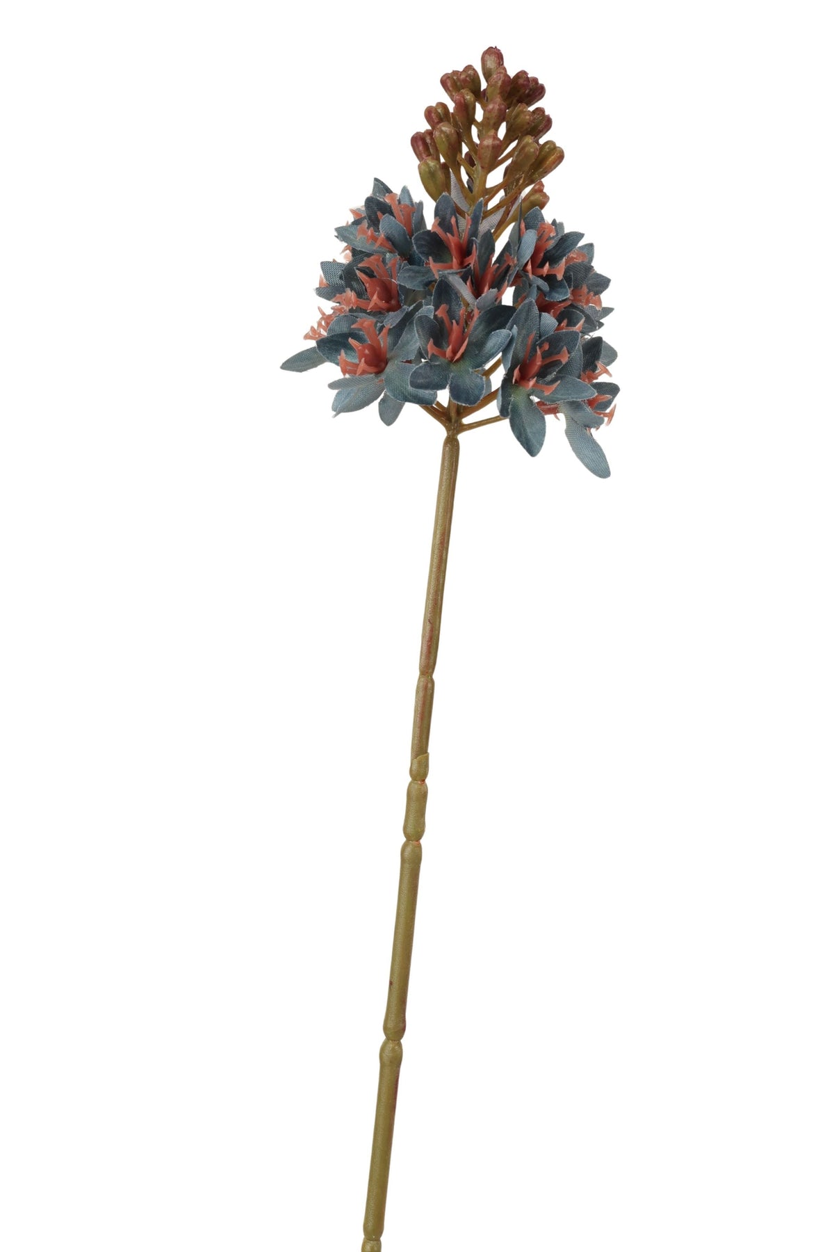 ornitigalum spray 72 cm blue