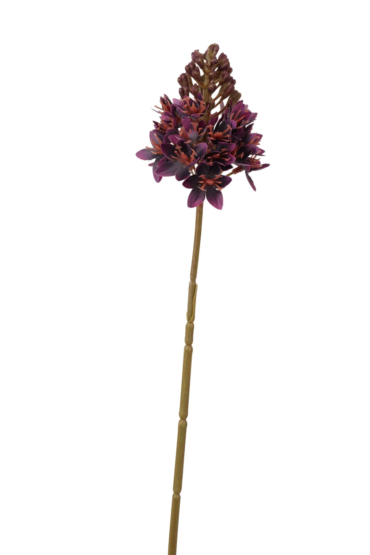 ornitigalum spray 72 cm dk purple