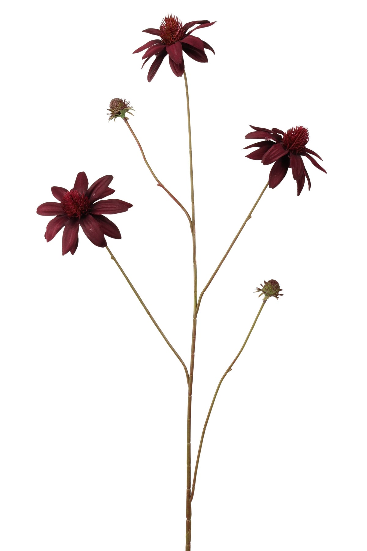 rudbeckia spray 98 cm burgundy