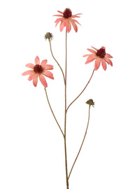 rudbeckia spray 98 cm lt pink