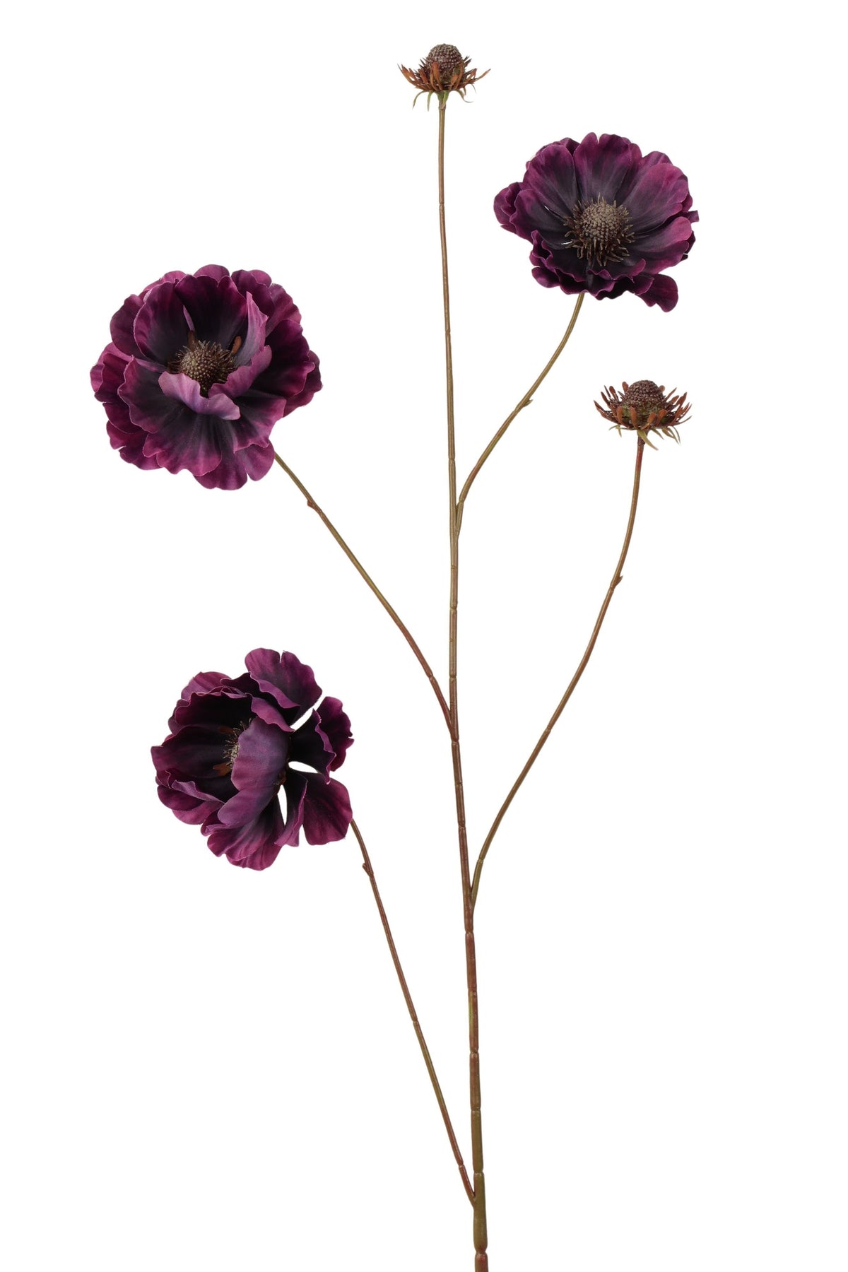 anemoon spray 96 cm dk purple