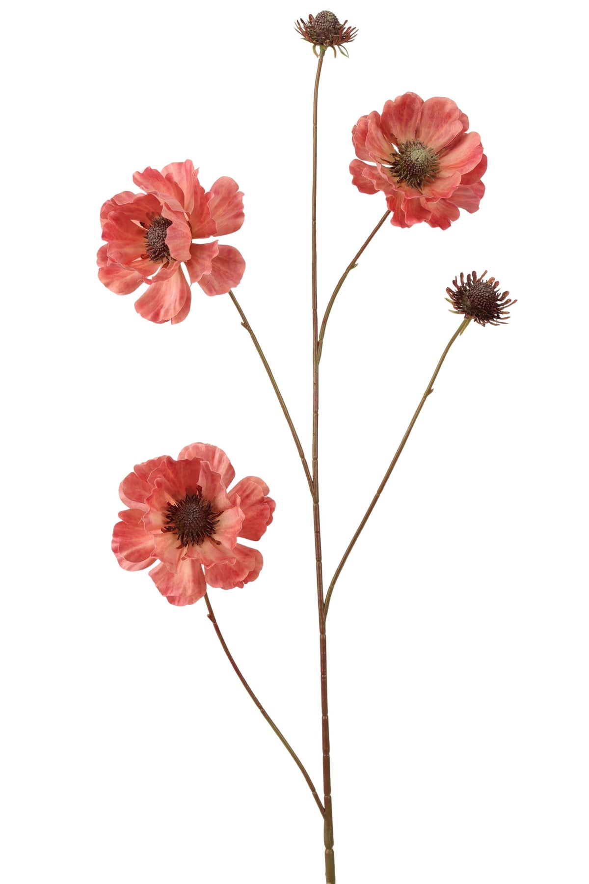 anemoon spray 96 cm lt pink