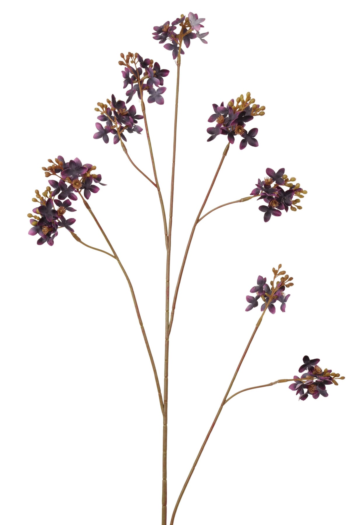 sering spray 100 cm dk purple