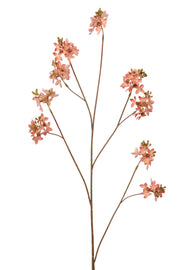 sering spray 100 cm lt pink