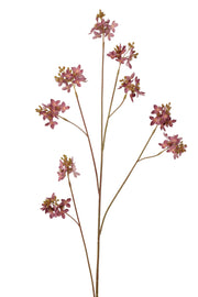 sering spray 100 cm lt purple