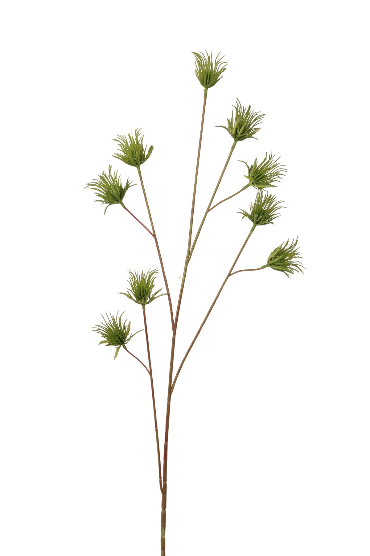 grass 97 cm green
