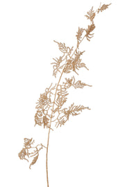 asparagus fern 135 cm gold