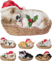 huisdier met kerstmuts in mand 6ass spec