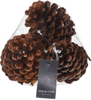 dennenappel naturel set 3sts