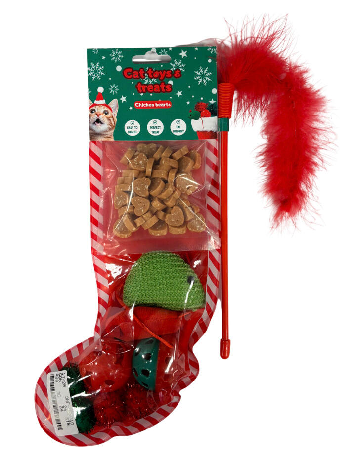 cat christmas sock with snack