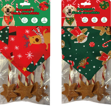 dog scarf with chicken snacks