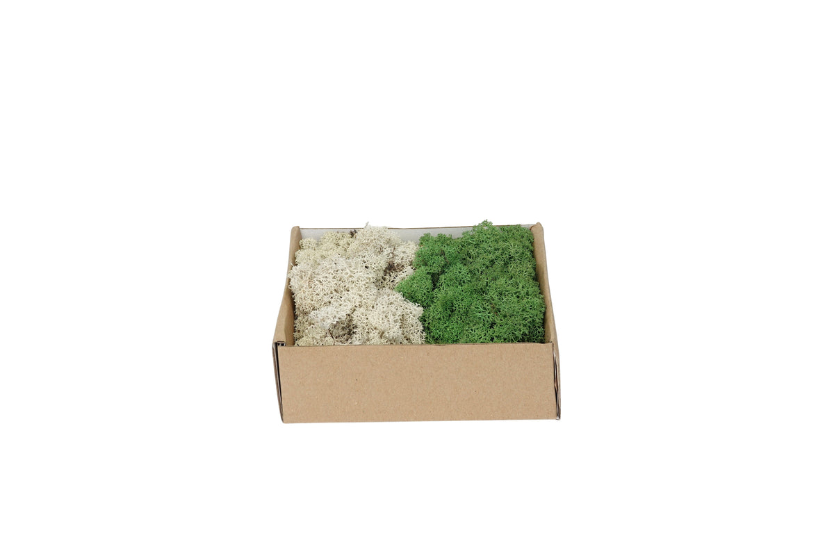 rendiermos mix donkergroen-naturel 250g