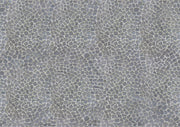 sheet grijze steentjes 21x29.7cm