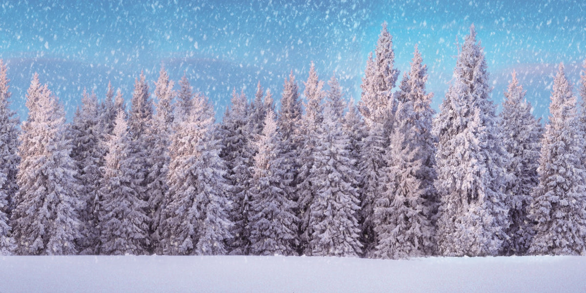 achtergrond doek - sneeuwbos 150x75cm
